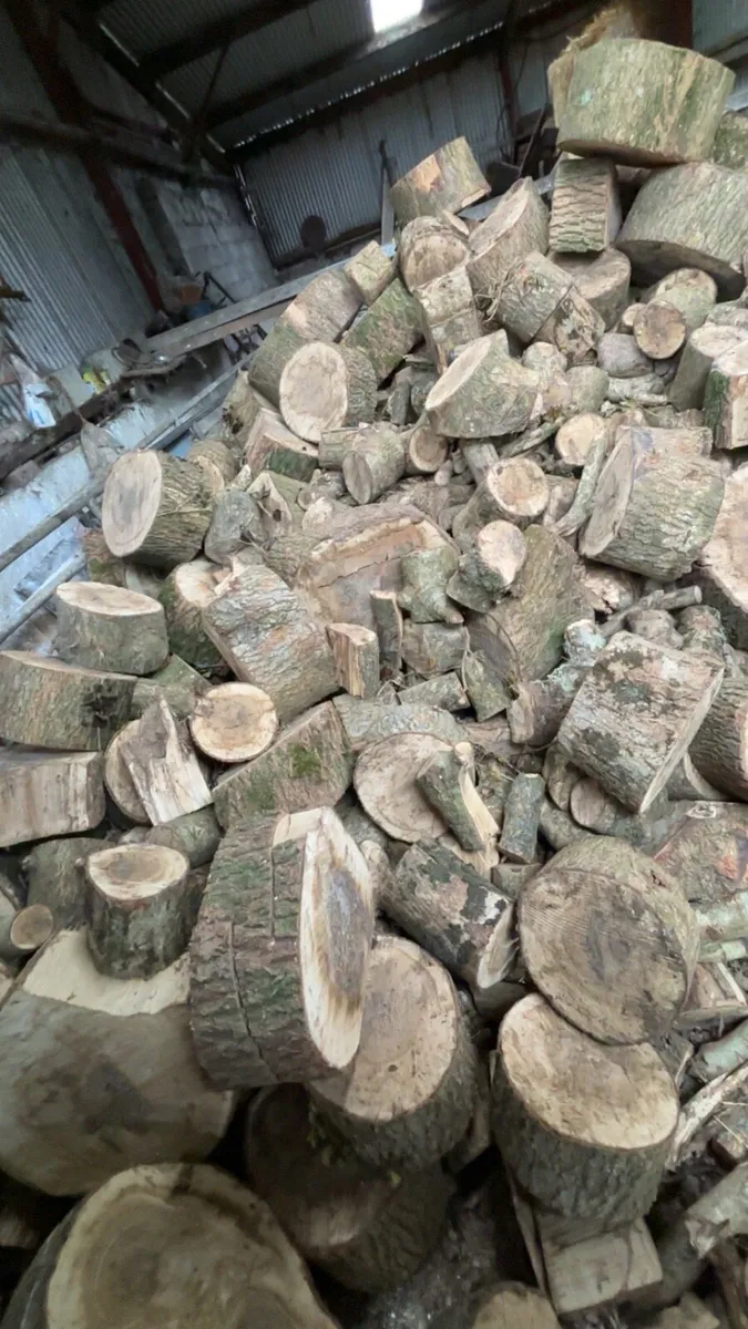 Fire wood Ash timber - Image 1