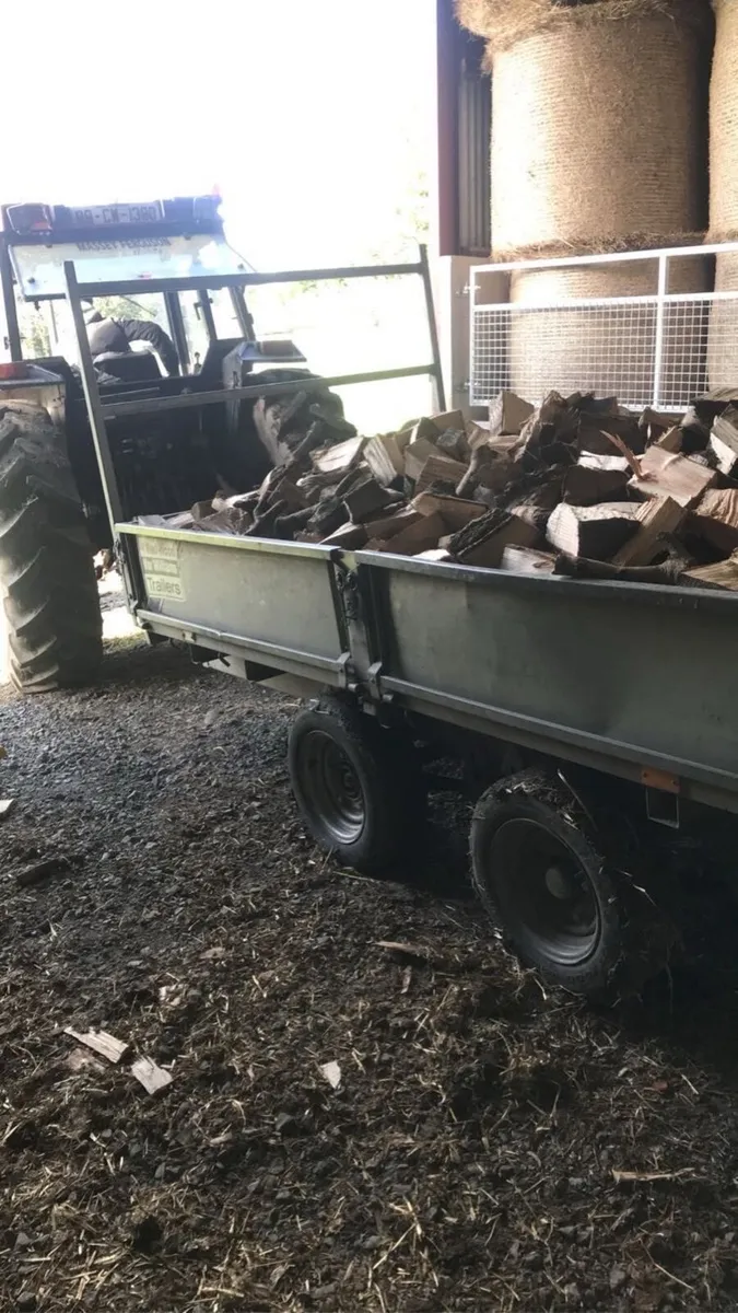 Fire wood Ash timber - Image 2