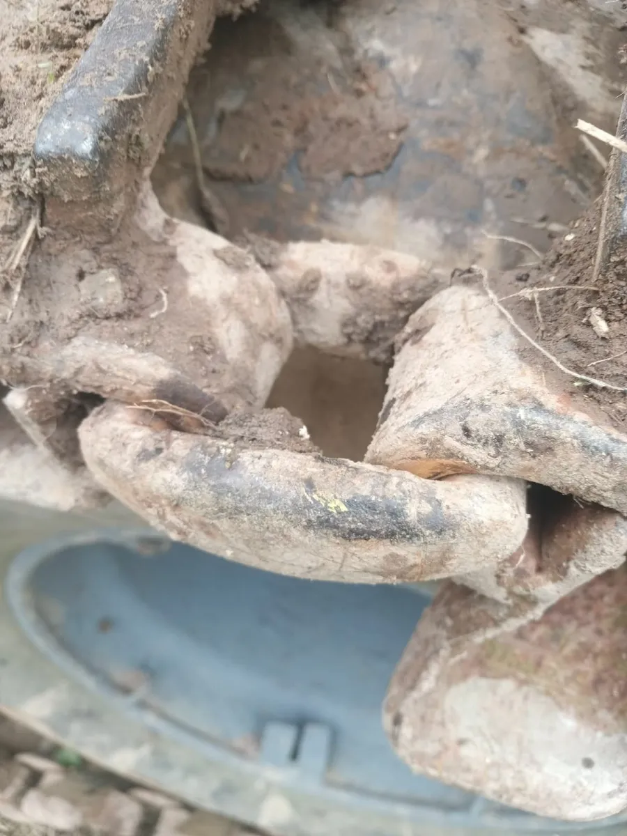 Timber forwarder - Image 2