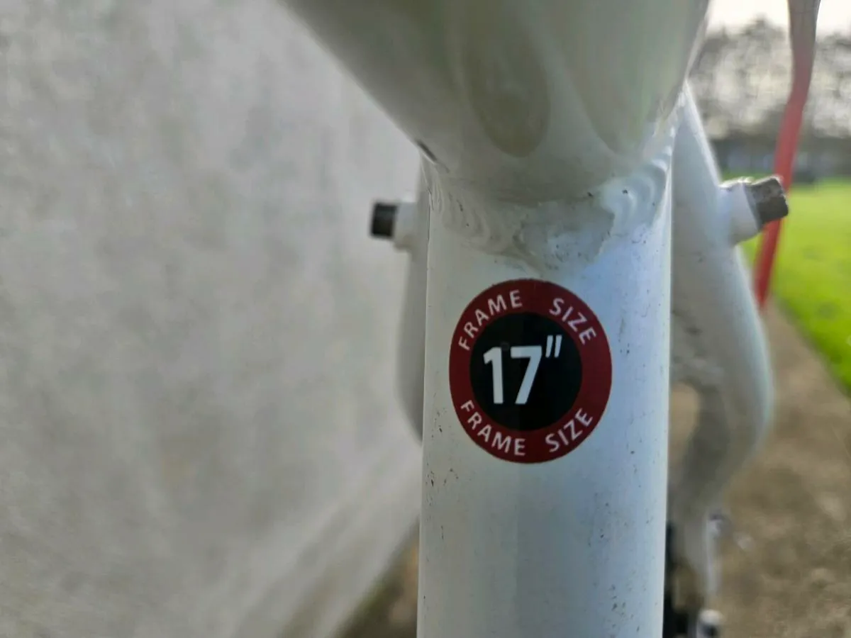 Apollo Evade - Image 3