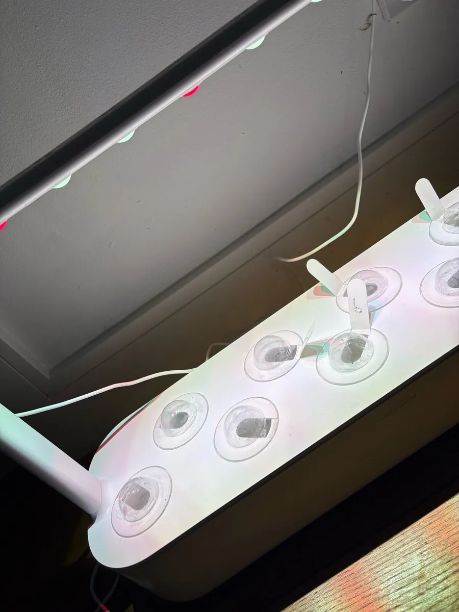 Click and Grow hydroponic system - Image 2