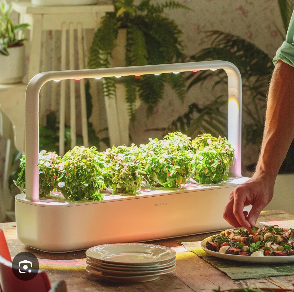 Click and Grow hydroponic system - Image 4