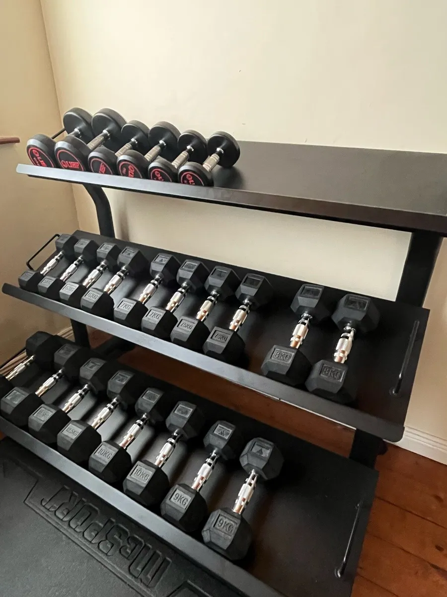 Dumbbells and Rack - Image 1