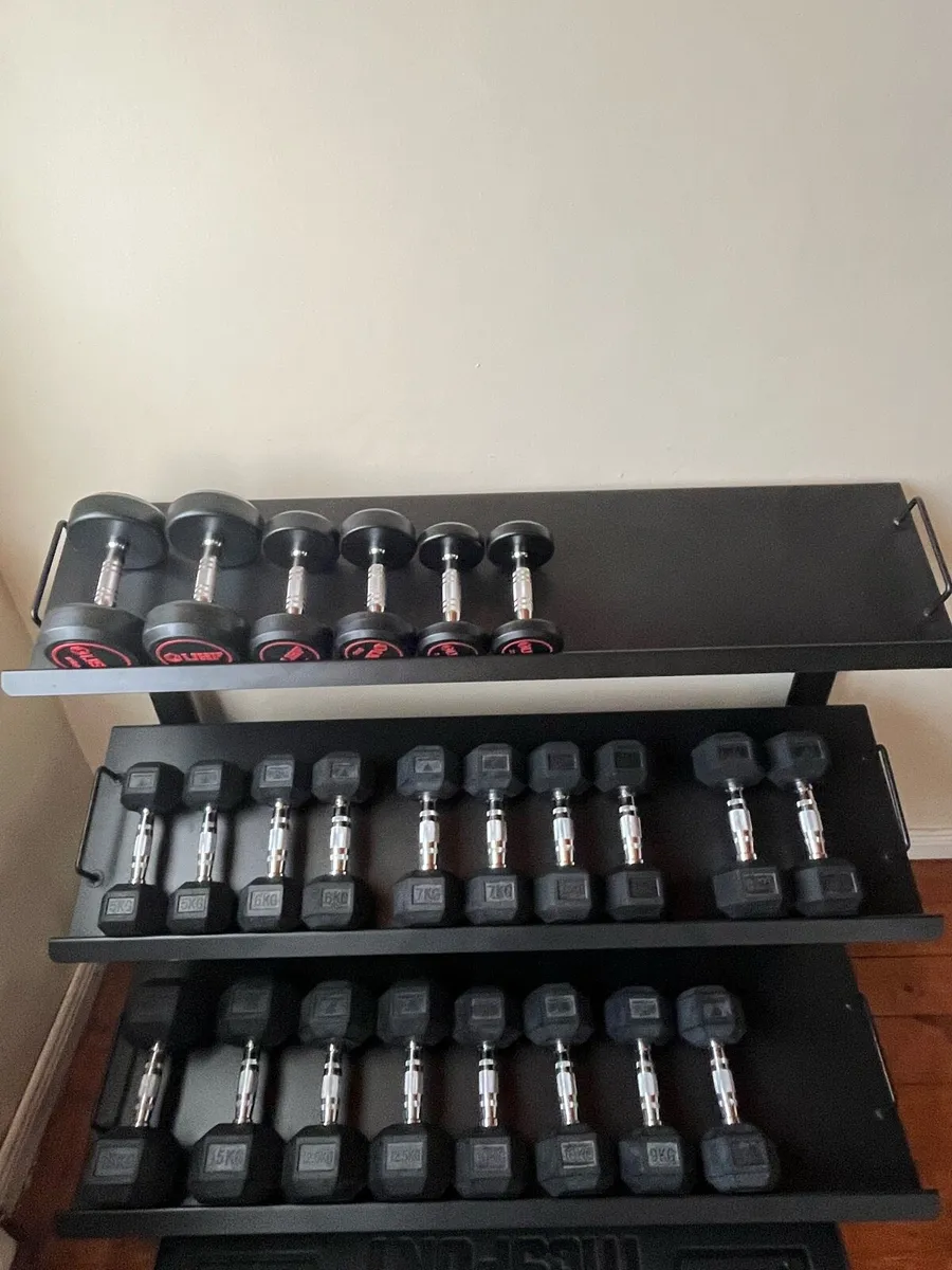 Dumbbells and Rack - Image 2