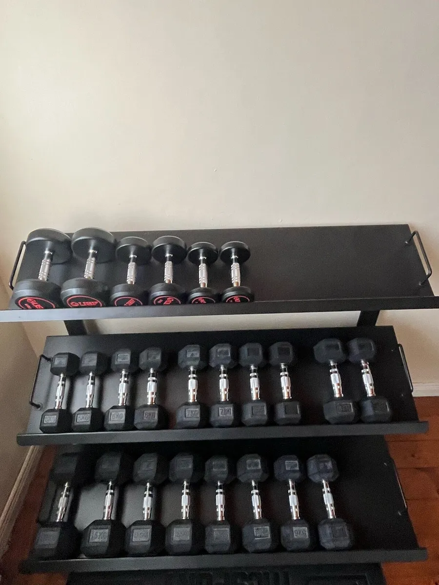 Dumbbells and Rack - Image 3