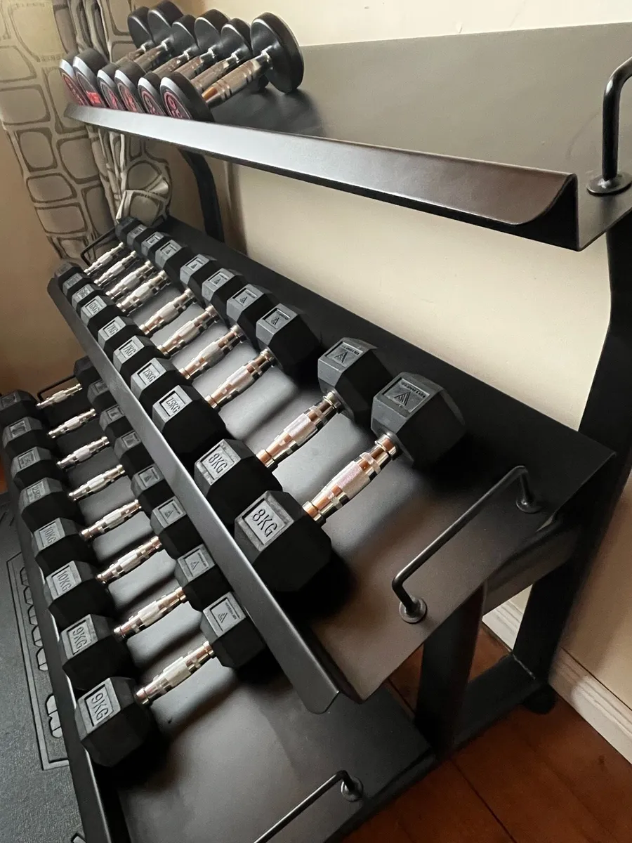 Dumbbells and Rack - Image 4