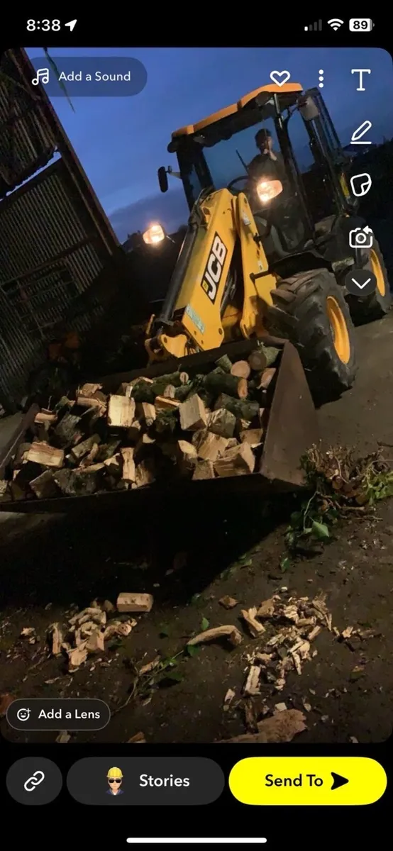 Fire wood Ash timber - Image 3