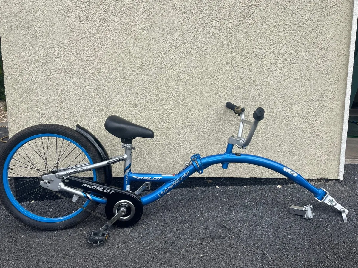 WewRide pro-pilot aluminium tag along - Image 1