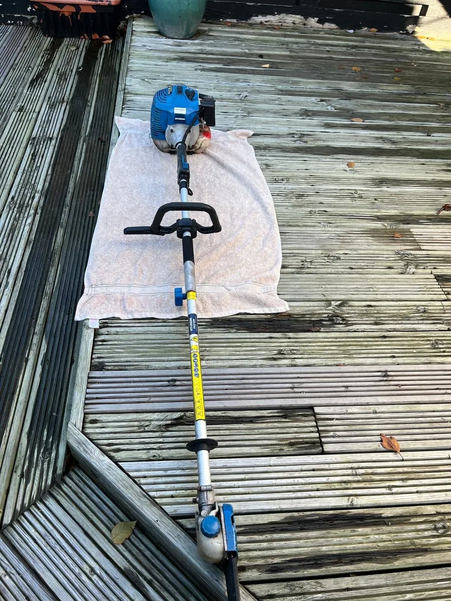 Long reach chainsaw - Image 1