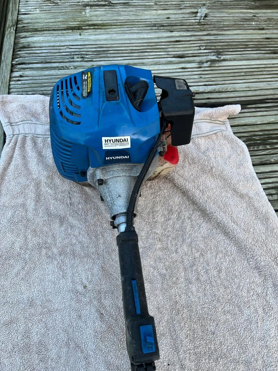 Long reach chainsaw - Image 2