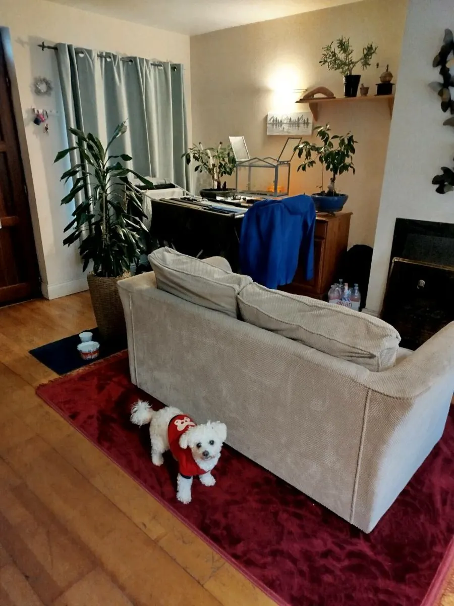 Couch with double bad never use . - Image 2