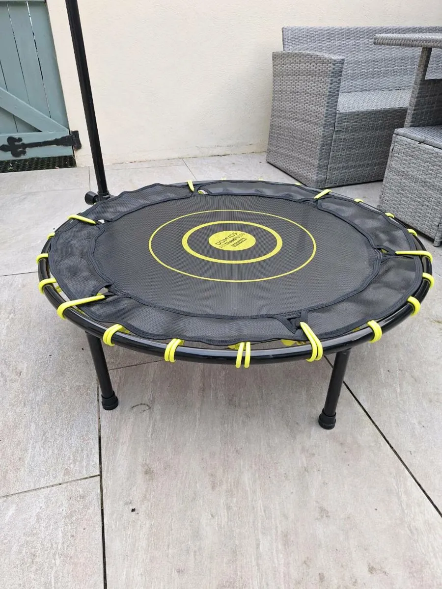 Rebounder trampoline - Image 2