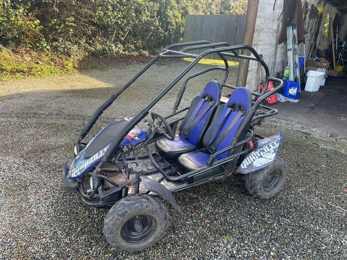 buggy xl Quadzilla - Image 4