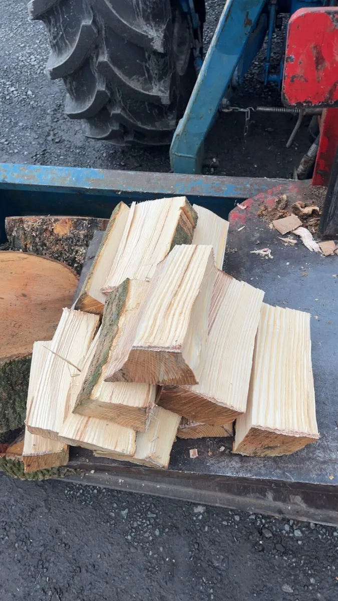 Log splitter hire - Image 2