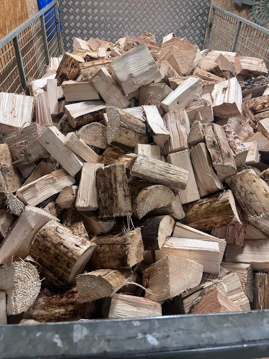 Fire wood - Image 1