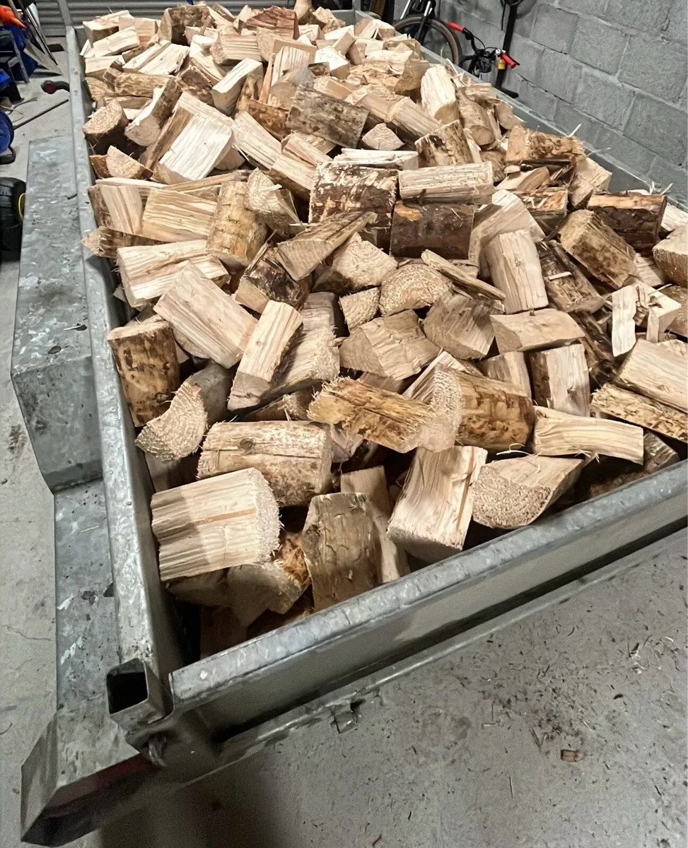 Fire wood - Image 2