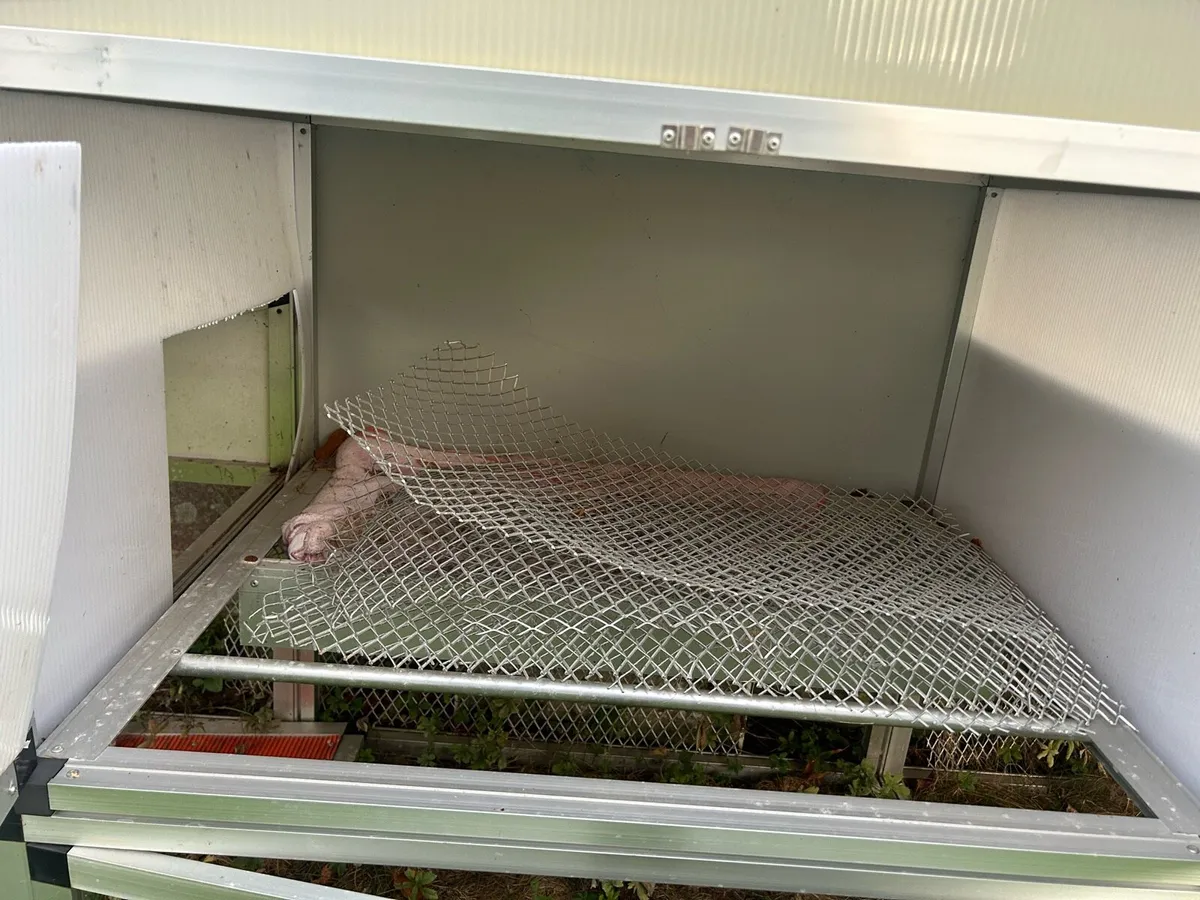 Chicken Coop - Image 2