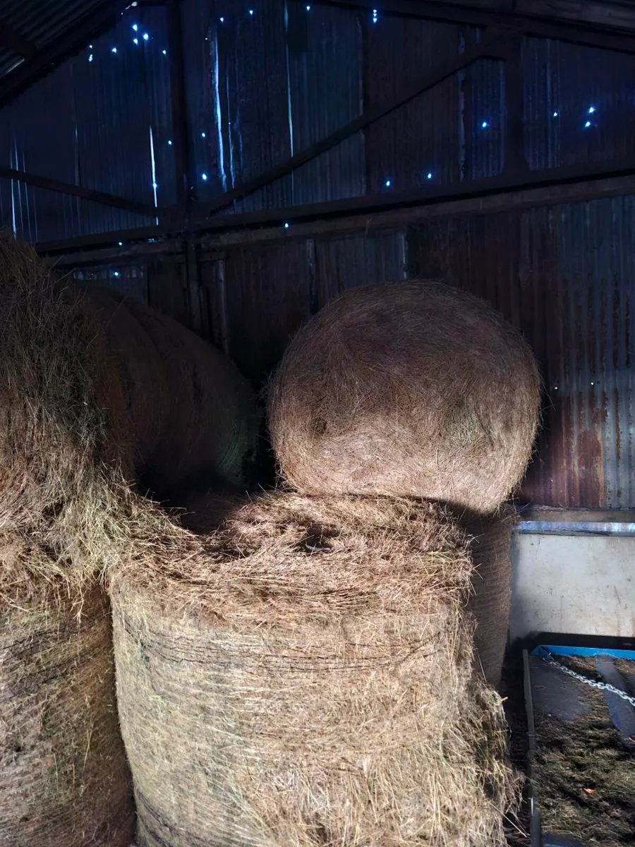 20 bales of hay