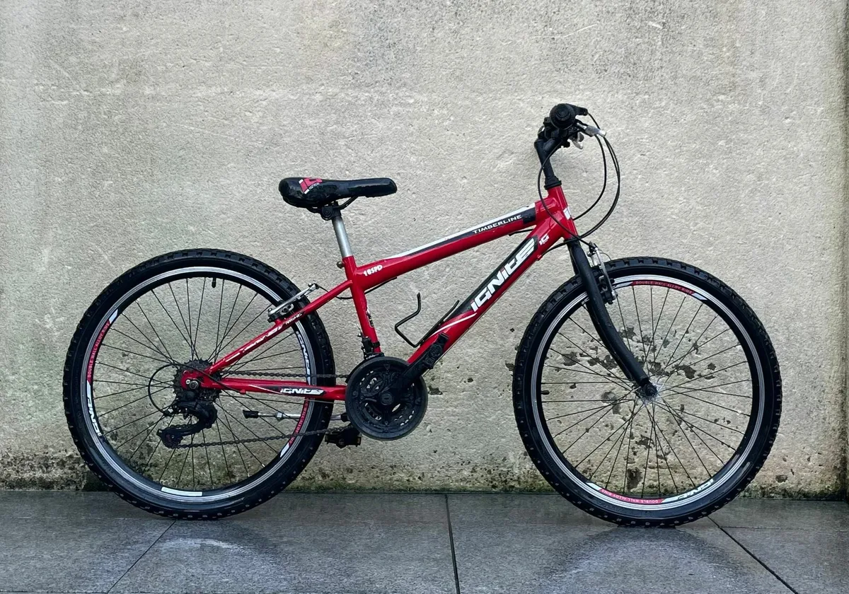 Boys bicycle 24" wheels - Image 1