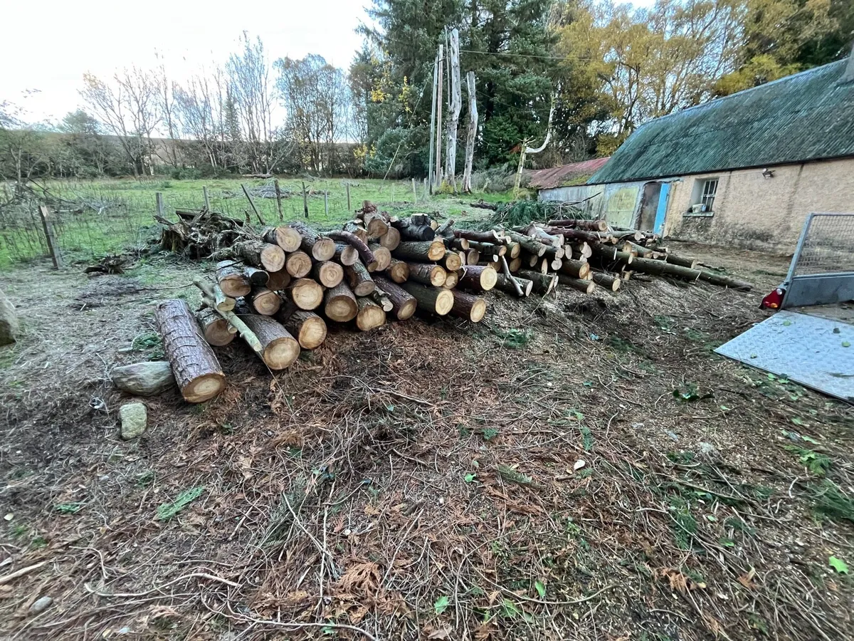 Timber for sale - Image 2