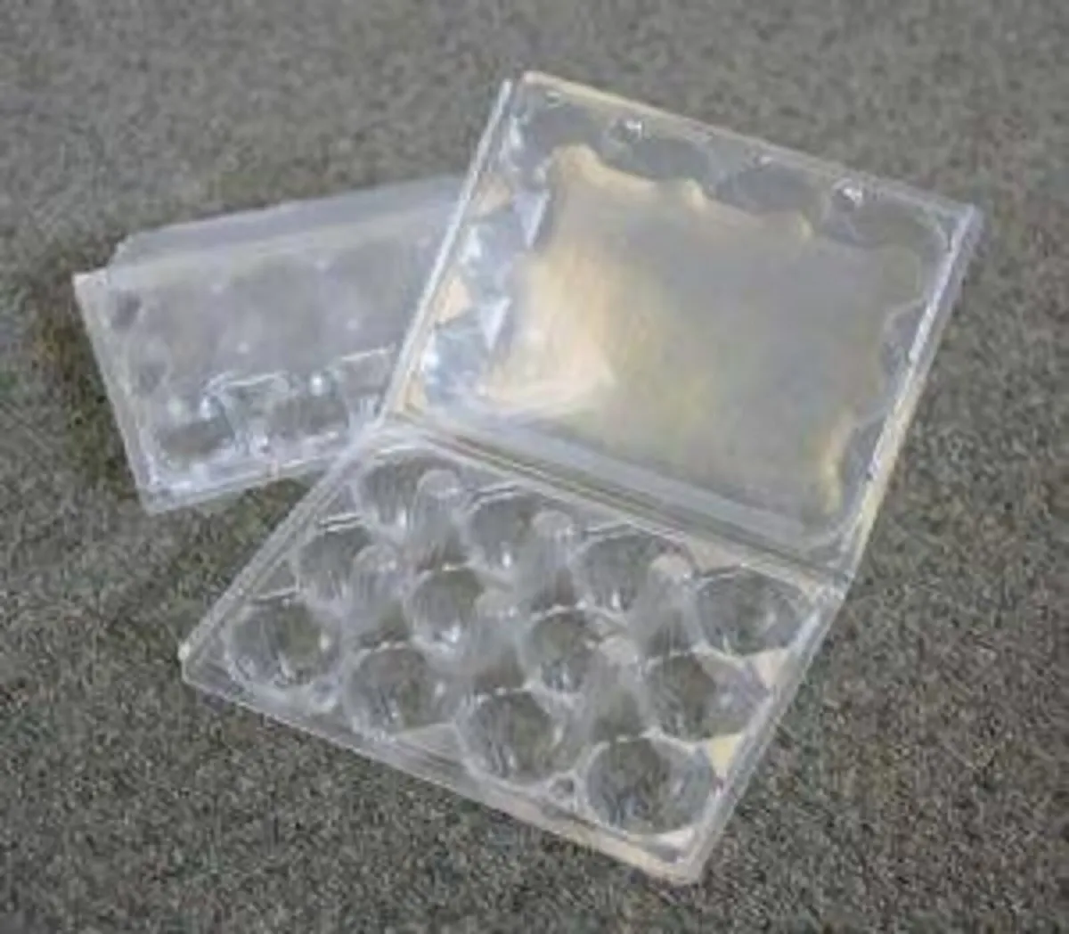 Quail Egg Boxes - www.maceoinltd.com - Image 2