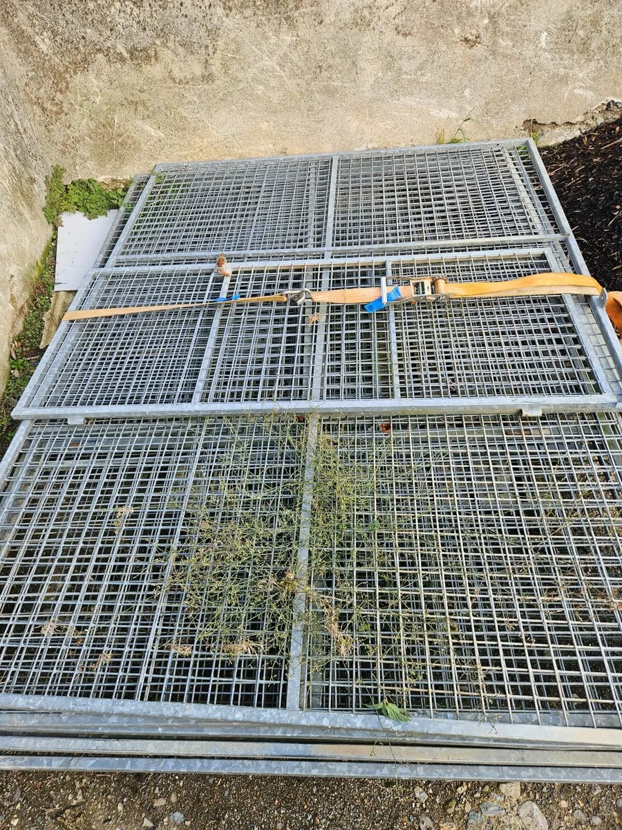 Dog run /pen. - Image 2