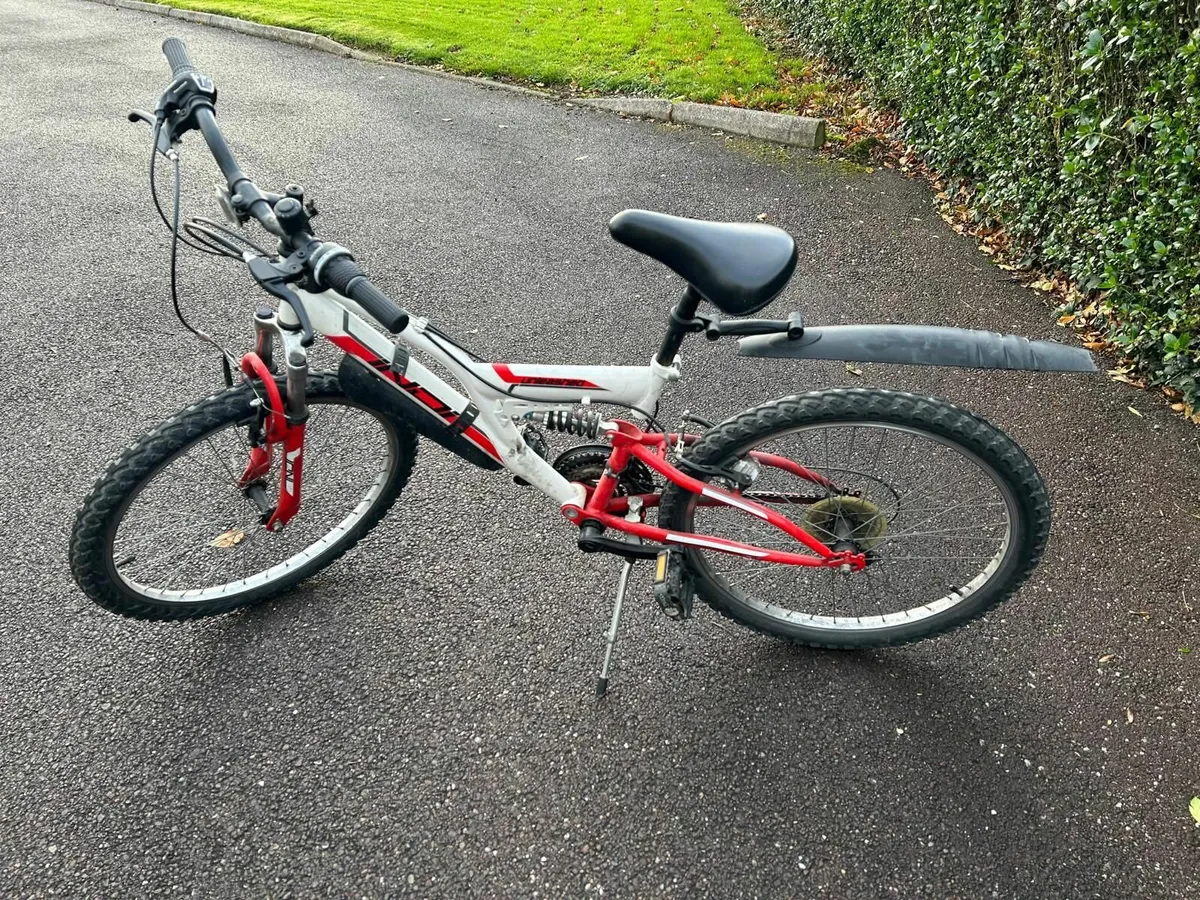 Bike - indi unleashed junior biks - Image 1