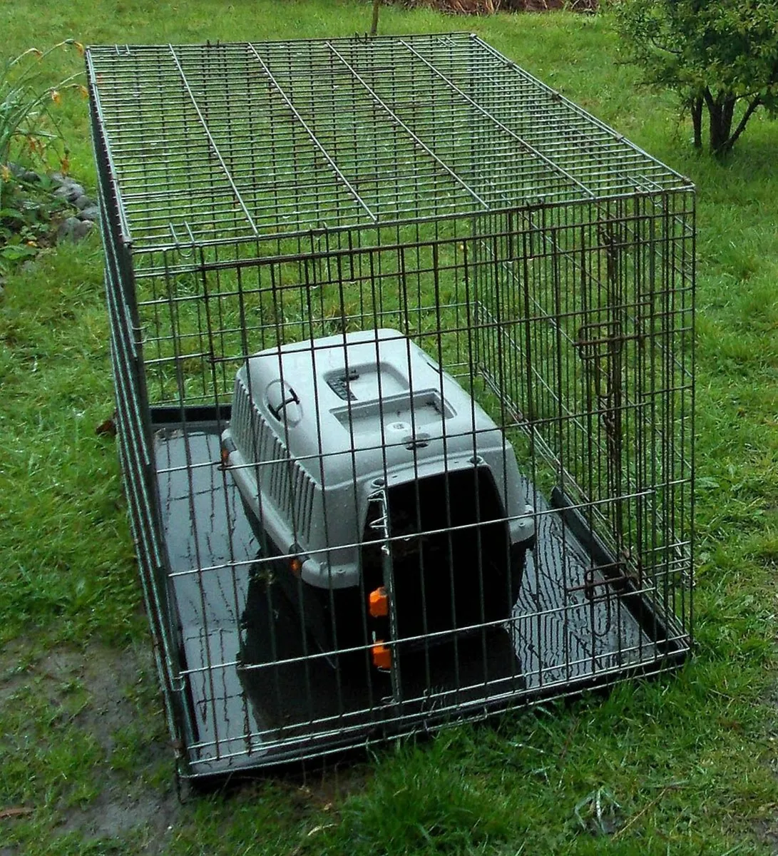 Large Animal Cage