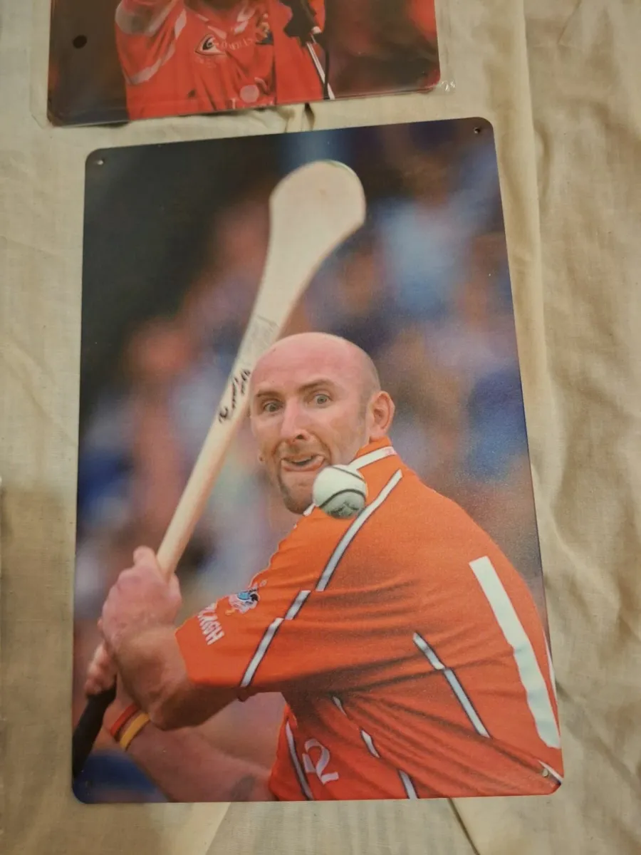 Selection of Cork Hurling Wall Plaques - Image 2
