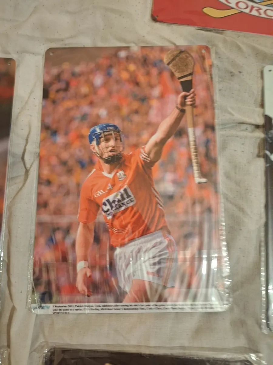 Selection of Cork Hurling Wall Plaques - Image 3