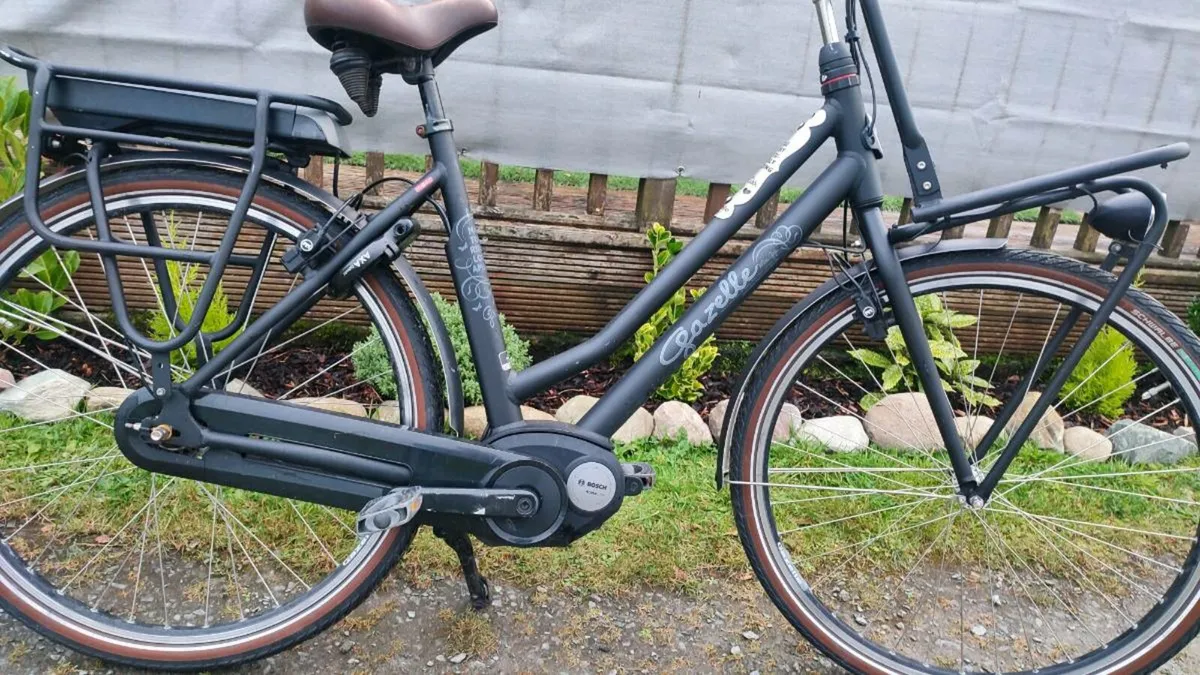 Cargo Bosch E-bike Handcrafted bike warranty - Image 2