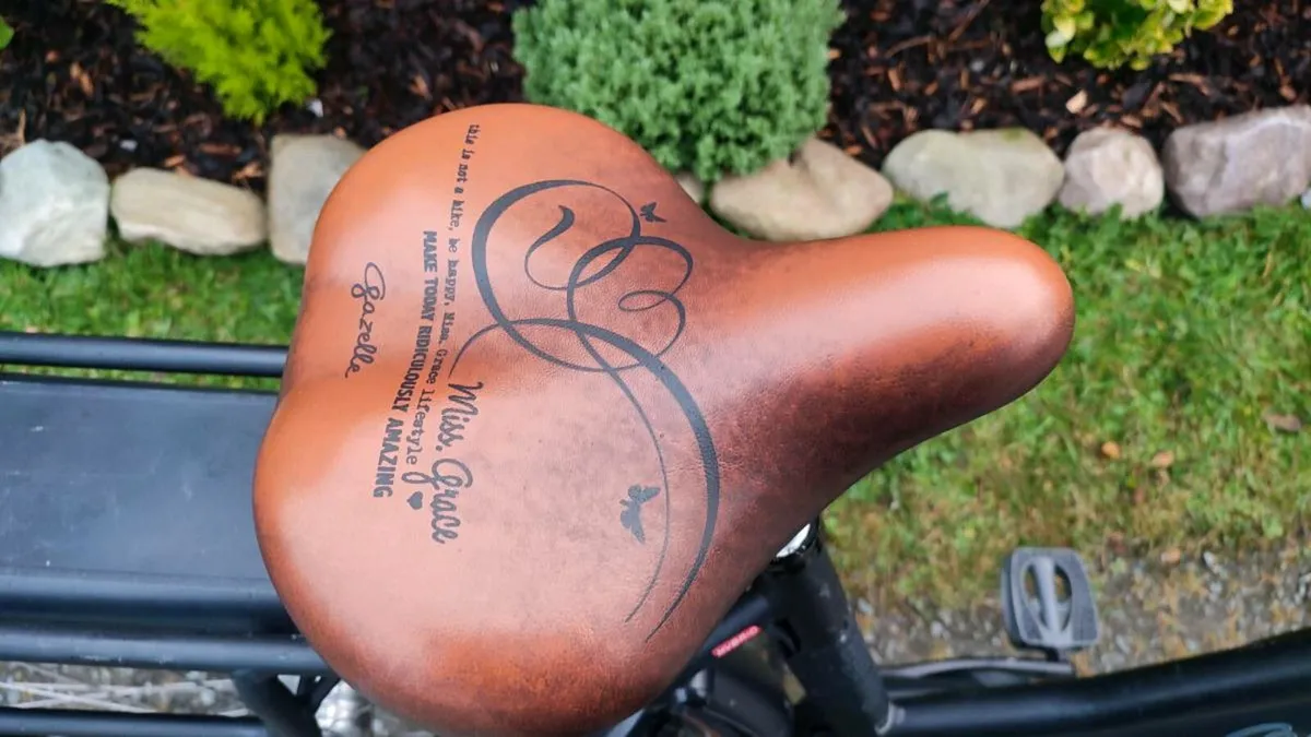 Cargo Bosch E-bike Handcrafted bike warranty - Image 3