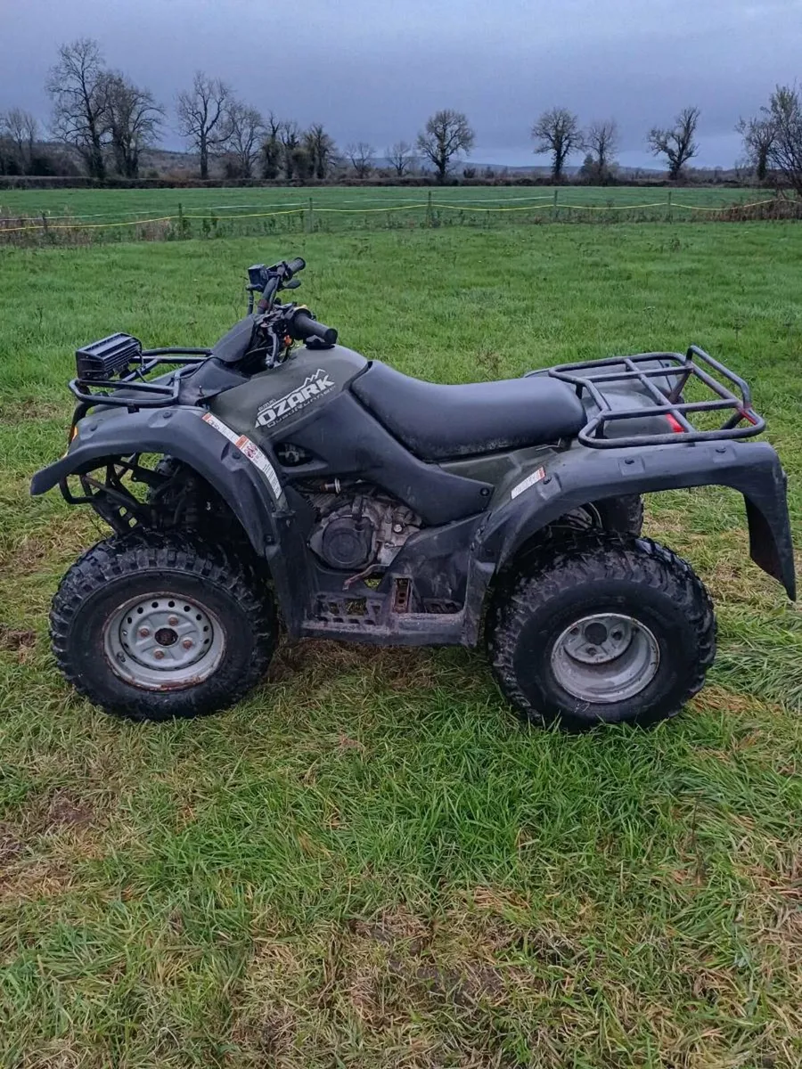 Suzuki ozark 250cc - Image 3