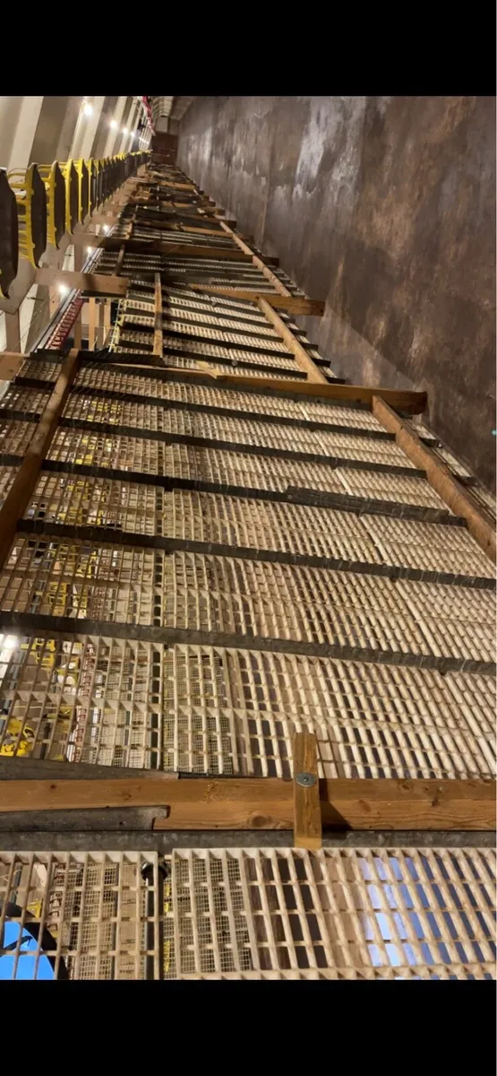 Rearing tables - Image 2