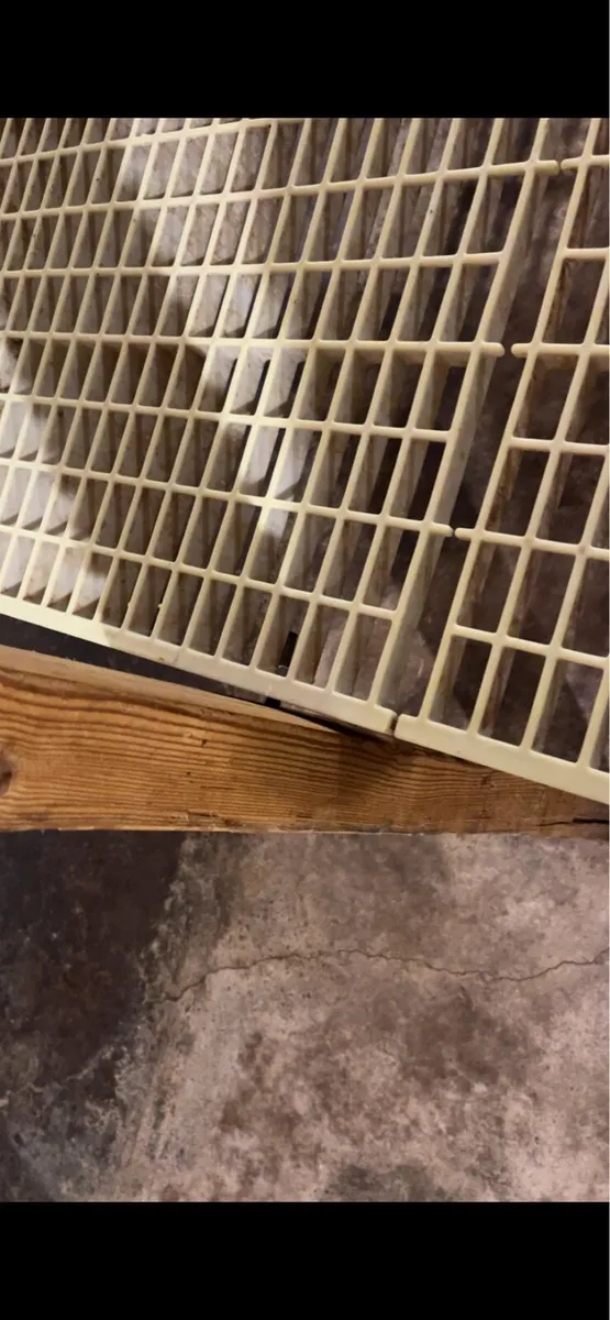 Rearing tables - Image 3