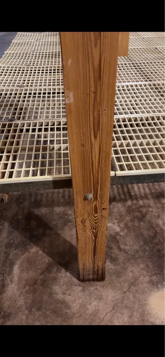 Rearing tables - Image 4