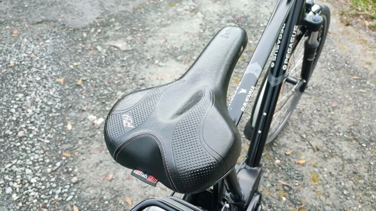 Bosch Bosch Pegasus ebike 90 km distance on charge - Image 4