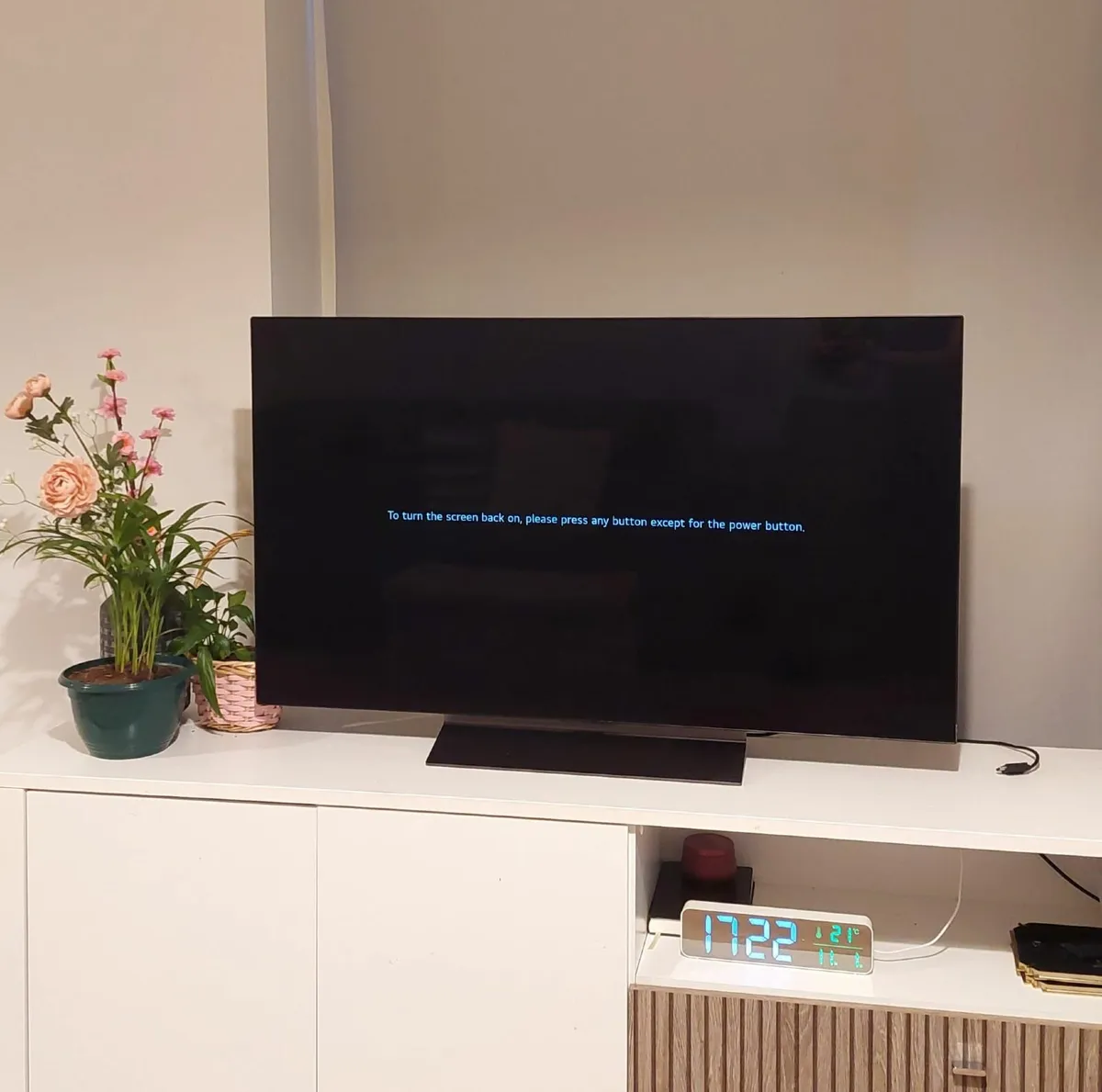 TV OLED 48 C44 2014 4K - Image 4