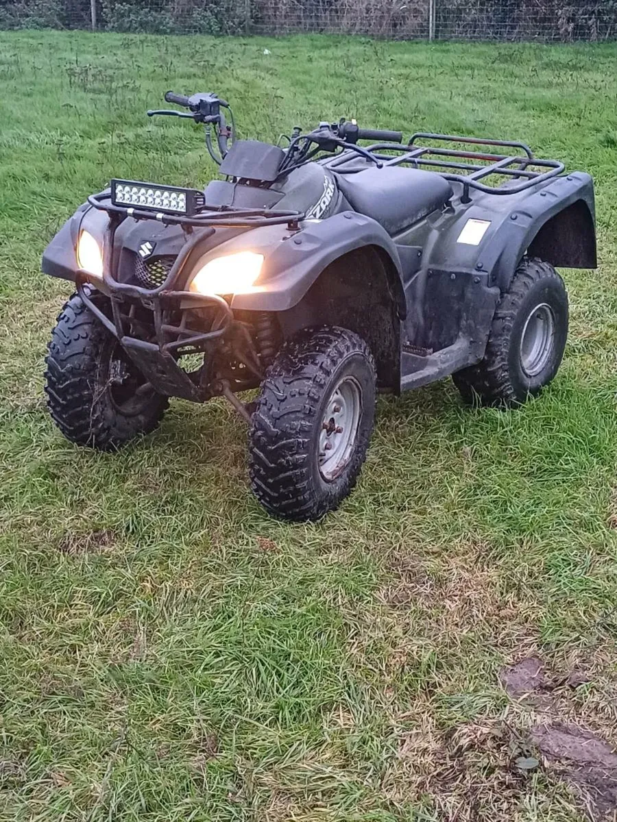 Suzuki ozark 250cc - Image 2