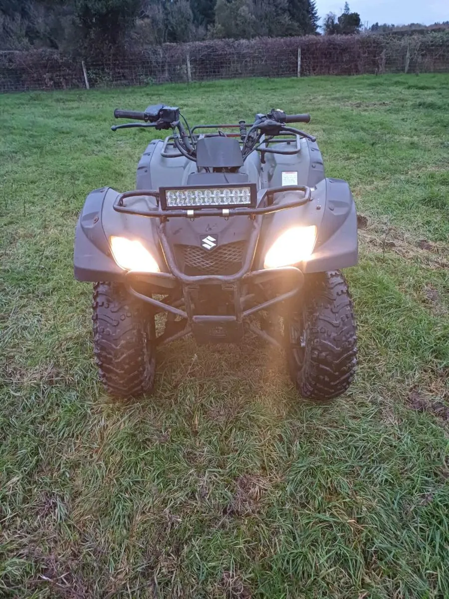 Suzuki ozark 250cc - Image 4