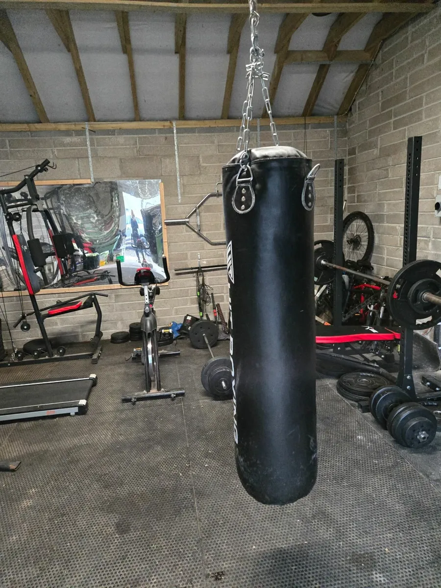 Gym Equipment - Image 2