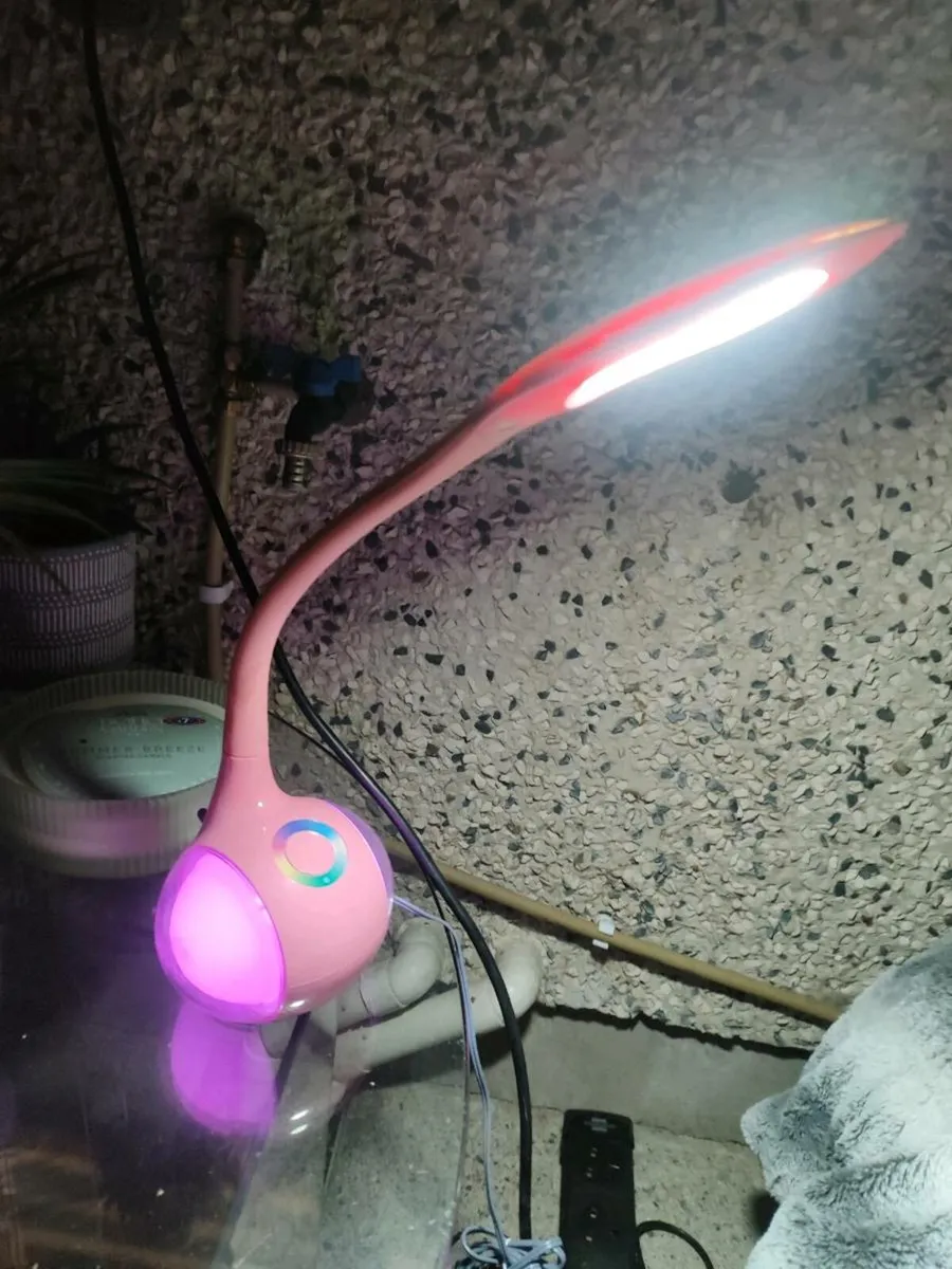 Pink LED lamp - Image 2