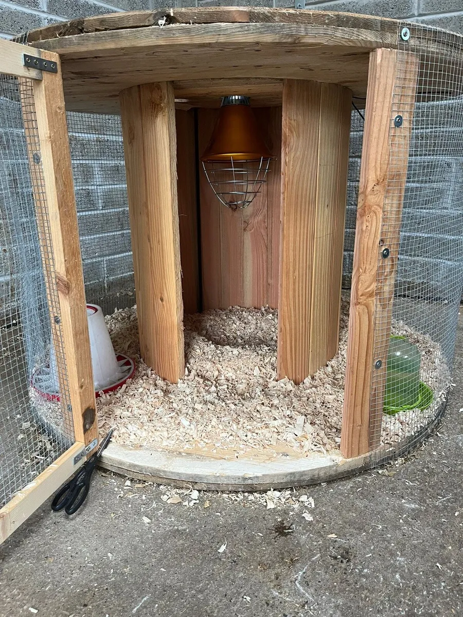 Chicken coop - Image 1