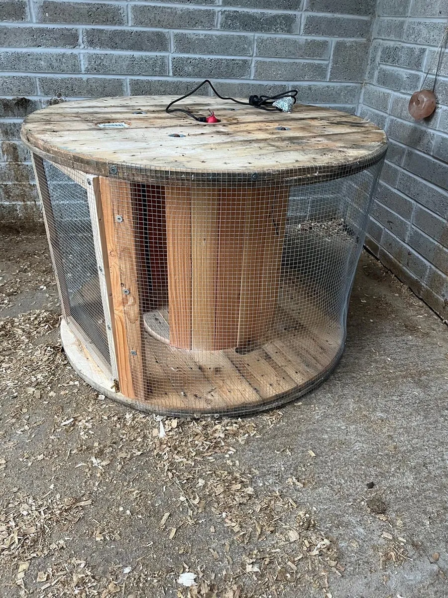 Chicken coop - Image 2