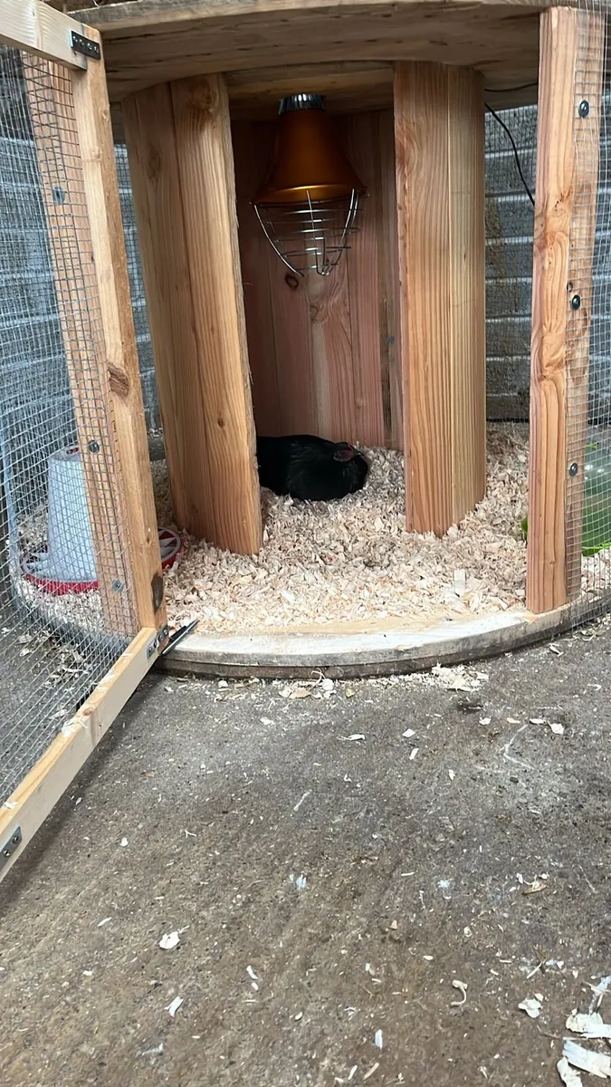 Chicken coop - Image 3