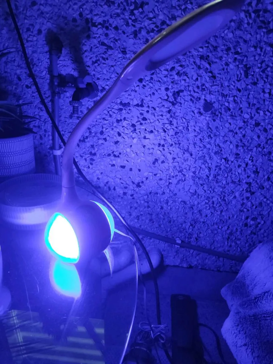 Pink LED lamp - Image 3