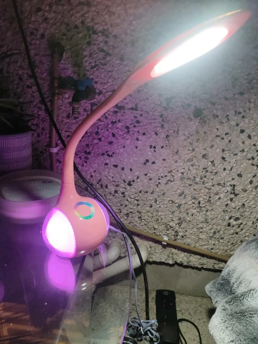 Pink LED lamp - Image 4