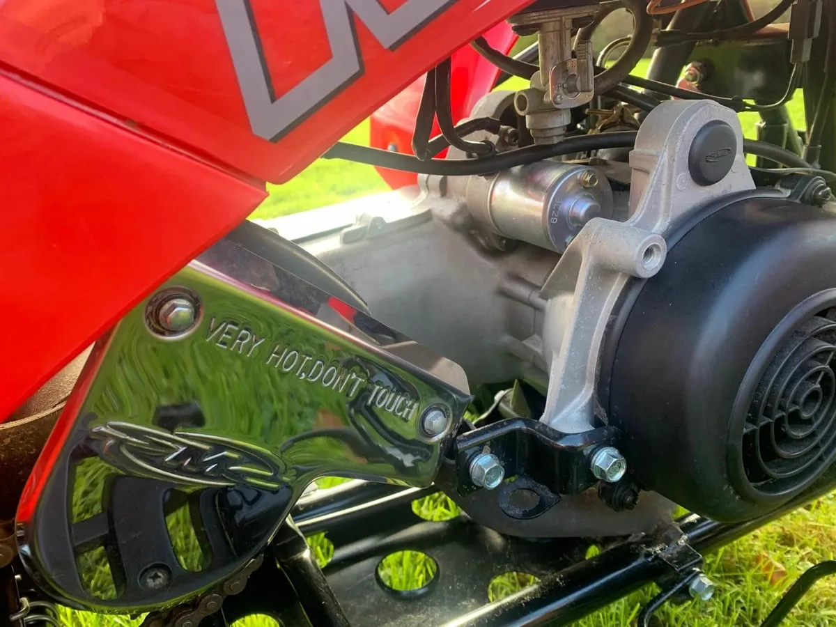 Quadzilla R100 - Childs Quad - Image 3