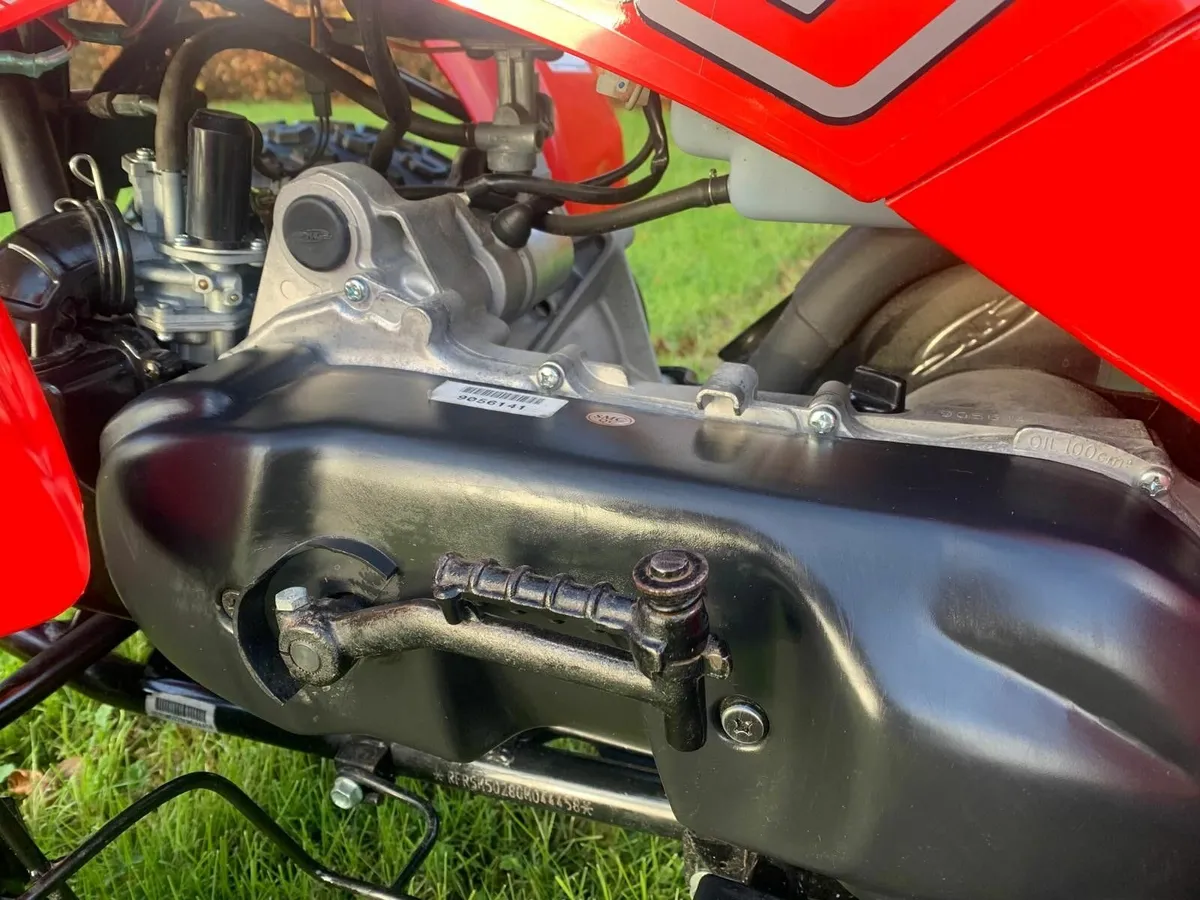 Quadzilla R100 - Childs Quad - Image 4