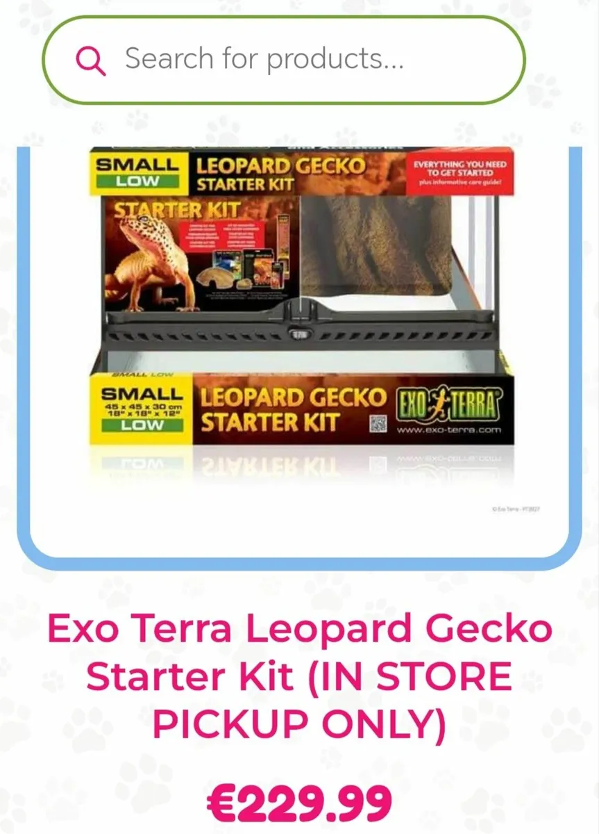 Leopard Gecko Terrarium - Image 3